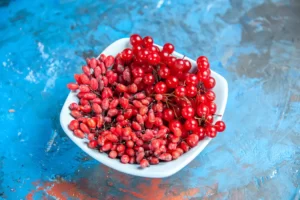 bottom-view-currants-barberries-white-plate-blue-red-table